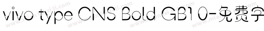 vivo type CNS Bold GB1 0字体转换